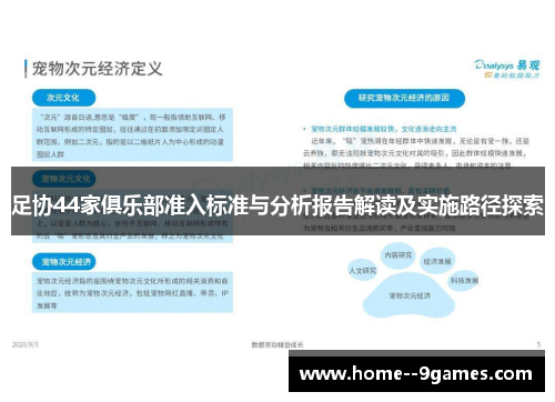 足协44家俱乐部准入标准与分析报告解读及实施路径探索 足协44家俱乐部准入标准与分析报告解读及实施路径探索