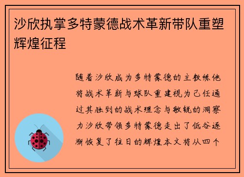 沙欣执掌多特蒙德战术革新带队重塑辉煌征程
