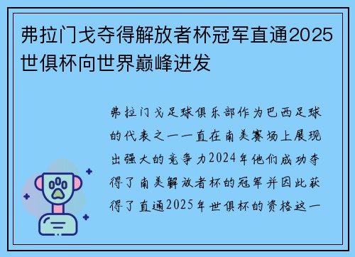 弗拉门戈夺得解放者杯冠军直通2025世俱杯向世界巅峰进发